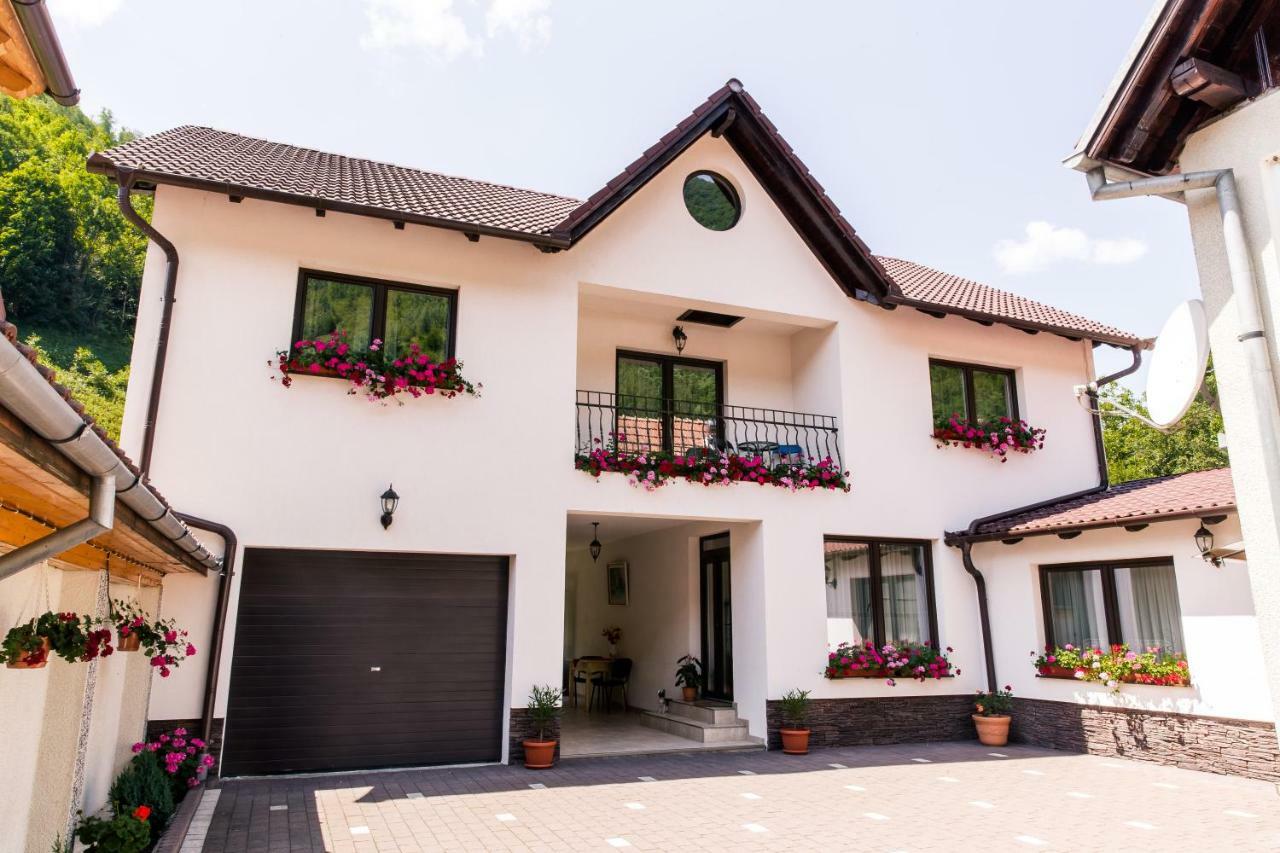 Vila Rodica Transalpina Sugag Exterior photo